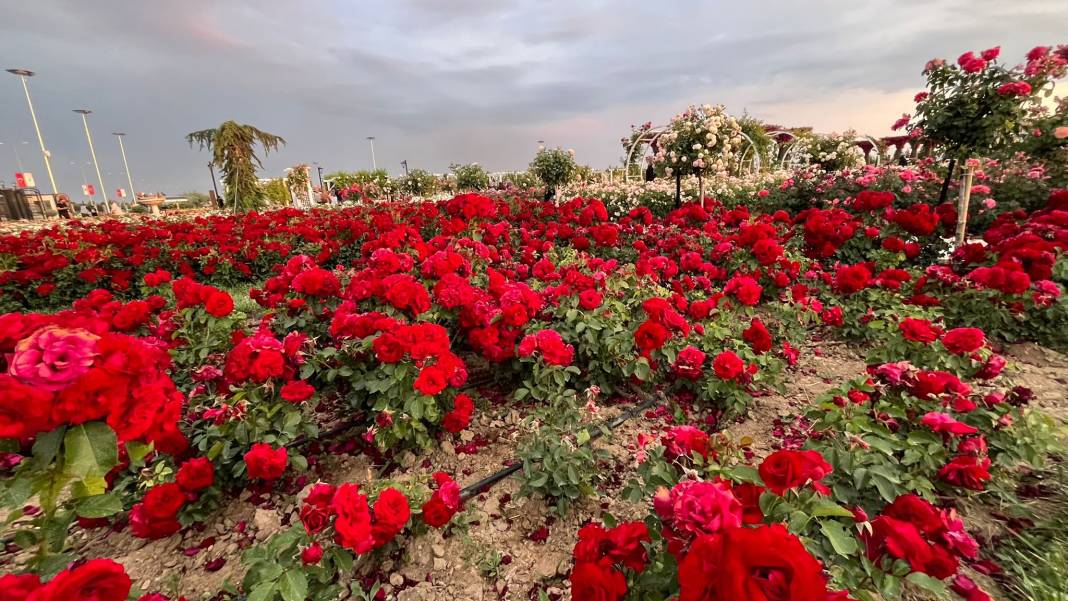 Konya’nın günbatımında masalsı manzara sunan parkı 21